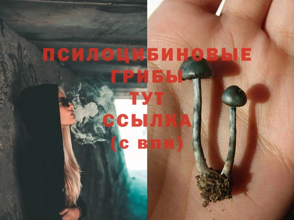 кристаллы Алзамай
