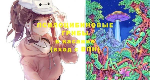 соль ск Алексин